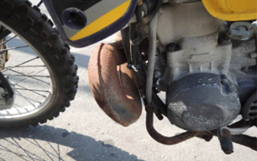 SUZUKI RMX250