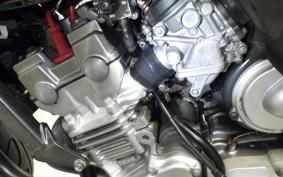 HONDA HORNET 250 MC31