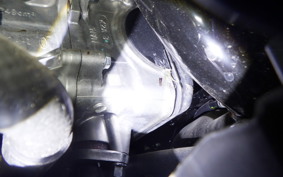 HONDA FORZA 250 2025 MF17