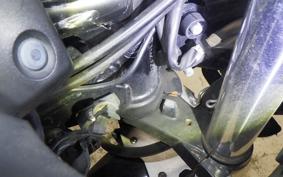 SUZUKI GSX250R 2007