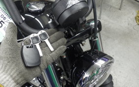 HARLEY FXBB1920 2025