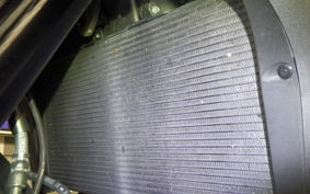 HONDA NT1100 2024 SC84