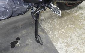 INDIAN FTR1200 2021