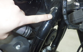 HARLEY FXLRS1920 2022