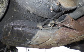 OTHER +RABBIT125 2023 S301