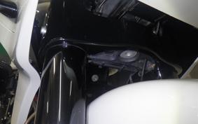 HARLEY FLTRXSE1920CVO 2021