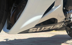 SUZUKI GSX-R600 2006 GN7DA