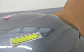BMW R NINE T PURE 2021 0L61