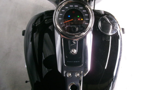 HARLEY FLFBS 2025 YGK