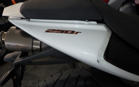 OTHER メガリ 250R