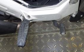 HUSQVARNA SVARTPILEN 401 2021