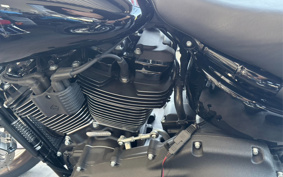 HARLEY FXLRS 2022 YWZ