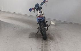 YAMAHA TORITSU CAR DG10J