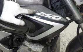 YAMAHA YBR250
