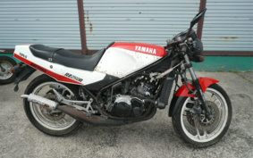 YAMAHA RZ250R 29L