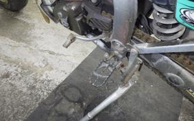 KAWASAKI KX250 F 2026 KX250N