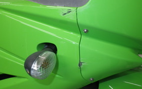 KAWASAKI NINJA 250R 2019 EX250K