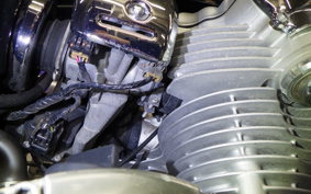 KAWASAKI W800 2011 EJ800A