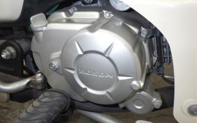 HONDA C50 SUPER CUB 2025 AA09