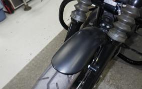 HARLEY XL883N 2020