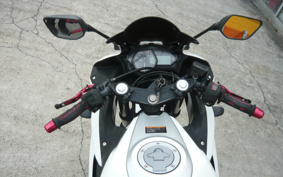 YAMAHA YZF-R25 RG10J
