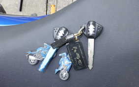 SUZUKI GSX-R1000R 2017