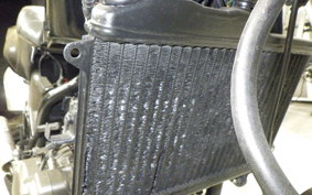 YAMAHA TDR250 2025 2YK