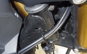 HONDA ｸﾞﾛﾑ 2024 JC75