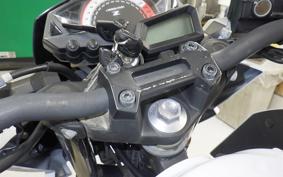 KAWASAKI Z250 ER250C