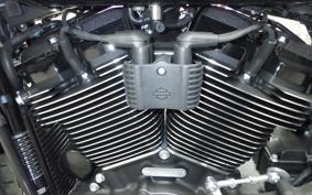 HARLEY FXLRST1920 2025