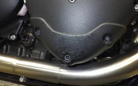 TRIUMPH SPEED TWIN 2024