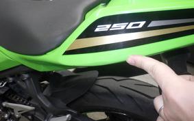 KAWASAKI NINJA 250 1997 EX250P