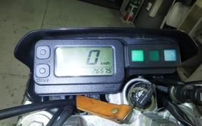 KAWASAKI SUPER SHERPA 2019 KL250G
