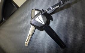 KAWASAKI NINJA1100SX 2025