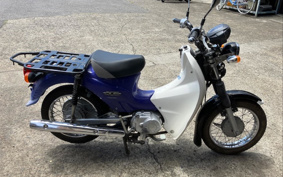 HONDA C110 SUPER CUB PRO JA07