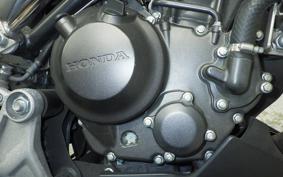 HONDA CB250R 2024 MC52
