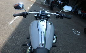 HARLEY FXBR 2024 YEZ
