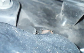 HONDA GYRO CANOPY TA03