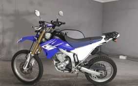 YAMAHA WR250R DG15J