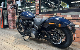 HARLEY FXBB 2018 YJJ