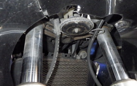 KAWASAKI ZZ-R250 EX250H