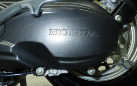 HONDA GIORNO 3 AF77