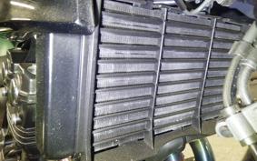 HONDA CB400 SUPER BOLDOR A 2020 NC42