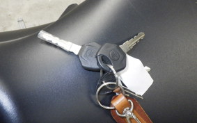 YAMAHA MT-25 A 2001 RG43J