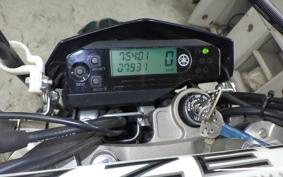 YAMAHA WR250X 2021 DG15J