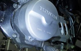 HONDA APE 50 AC16