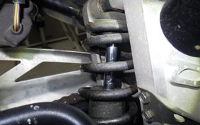 SUZUKI GOOSE 250 NJ46A