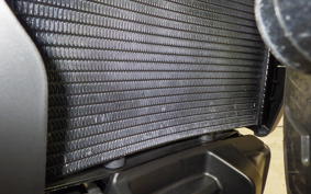 HARLEY RH975S 2025