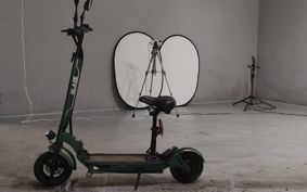 OTHER  BLAZE EV SCOOTER  ..