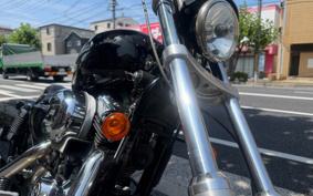 HARLEY XL1200L 2007 CX3